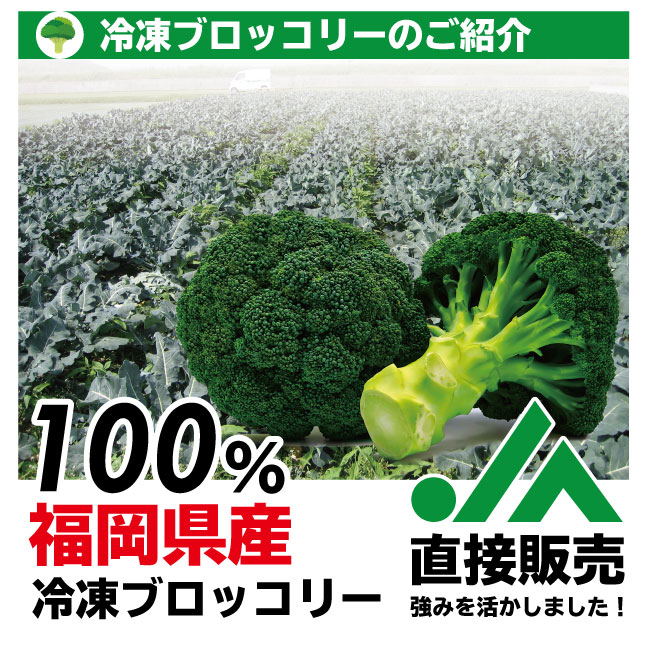 【送料無料】大容量3kg 福岡県産 冷凍ブロッコリー JAむなかた直送 加工用 業務用 家庭用にも 筋トレ トレーニング 食品