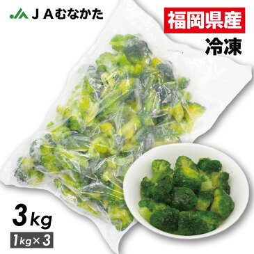 【送料無料】大容量3kg 福岡県産 冷凍ブロッコリー JAむなかた直送 加工用 業務用 家庭用にも 筋トレ トレーニング 食品