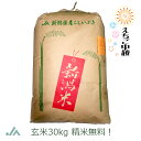 【特別栽培米】新潟県産 こしいぶき 玄米 30kg 令和5年産【送料無料 精米無料】