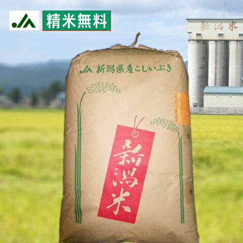 【精米無料】【特別栽培米】令和3年産　新潟県産こしいぶき玄米30kg 【送料無料】