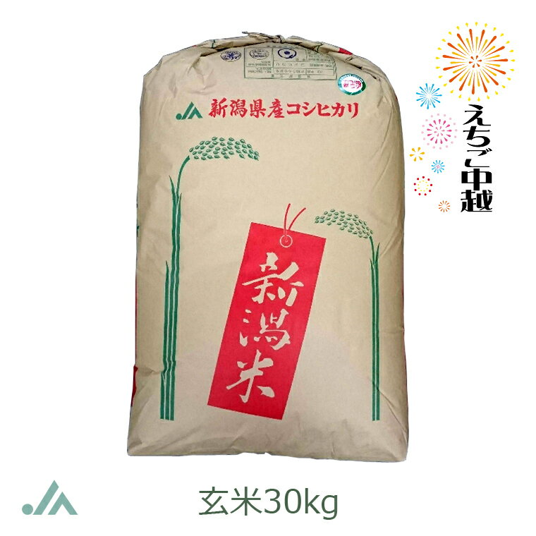 【新潟県産】栃尾（とちお）コシヒカリ 玄米 30kg 令和5年産【送料無料】2等米