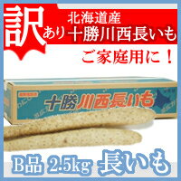 長いも【訳あり】（十勝川西長いも）北海道産長芋　B2Lサイズ　2.5kg（3〜4本入り）平成29年産　ご家庭用