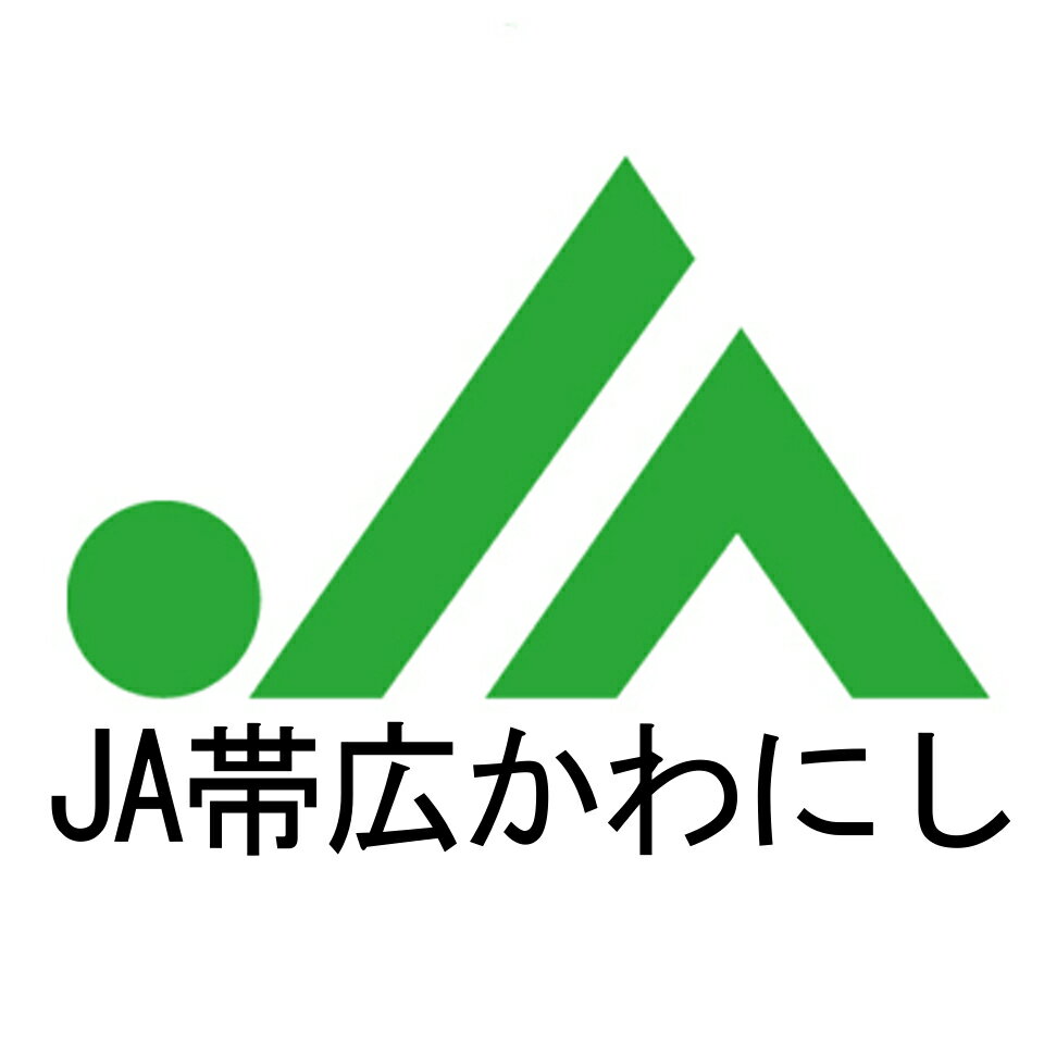 Shop icon