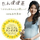 たんぽぽ茶 妊娠中 お茶 産後 お茶 美味しく7種ブレンド 母乳 ハーブティー 100%自然素材 プレミアムたんぽぽ茶 ティーバッグ 妊婦 お茶 美味しい ノン...