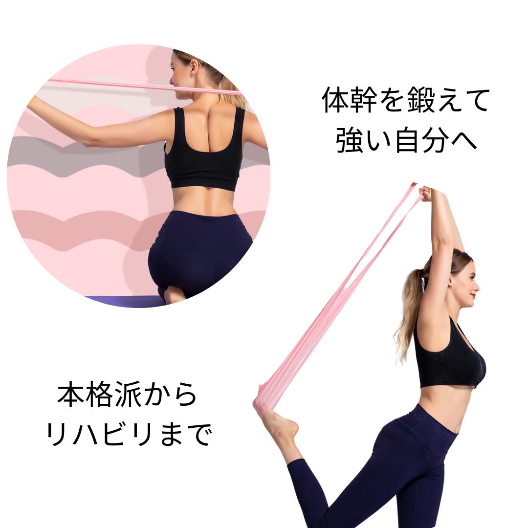 �ץ������� ���� ���󥰥����� �ե��åȥͥ��Х�� �襬�Х�� ������������ �Х�� �ȥ졼�˥󥰥��塼�� �襬�Х�� ����Х�� ���ȥ�å��Х�ɥ�ϥӥ� ��ŷ �͵� ���٤������� �ڥȥ� �ȥ졼�˥� ���� ��٥Х�� yogaband180cmx15cm