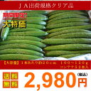 送料無料 ギフト用 まっすぐなキュウリ52本5kg入 期間限定 栃木県産 綺麗な形 産地直送新鮮野菜 ...