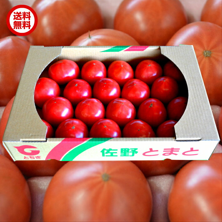 栃木県産 トマト 1箱 4kg JA佐野 出荷規格 クリア品 家族友達とシェアできる容量 産地直送新鮮野菜 詰合せセット お…