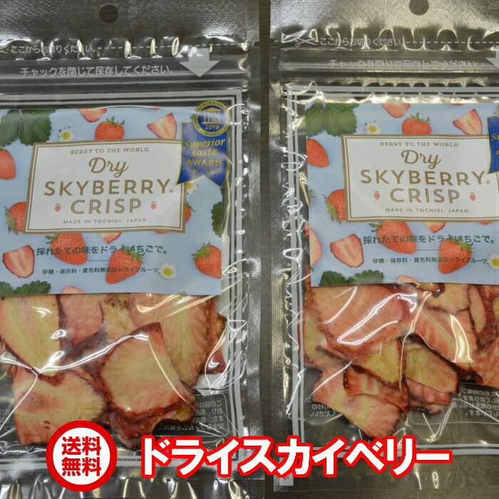 【送料無料】スカイベリー ドライフルーツ 15g×2袋入り無添加/無着色/ドライイチゴ/プレゼント/おやつ【とちおとめと一味違う】