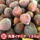 【急速冷凍機使用】訳あり 加工用 急速冷凍イチジク/1.8k...