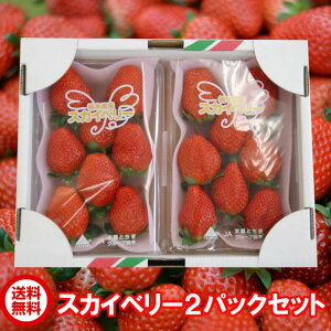 【栃木いちご】栃木県産の甘くて美味しい苺のおすすめは？