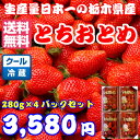 ★ホワイトデー★ 感謝価格3980円→3580円 栃木県産とちおとめ280グラムを4パックセッ...