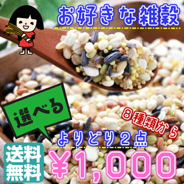 【DM便送料無料】国産 お好きな雑穀・豆類よりどり2点で1000円ぽっきり/もちきび/あわ/ひえ/たかきび/もち米/ハト麦/はだか麦/押麦/小豆/玄米/健康食品/プレゼント