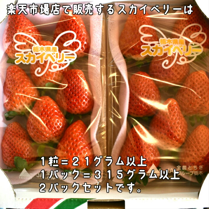 ★送料無料★化粧箱 高級イチゴ スカイベリー2パックセット バレンタイン ギフト お歳暮格安通販　バレンタイン　人気　ランキング
