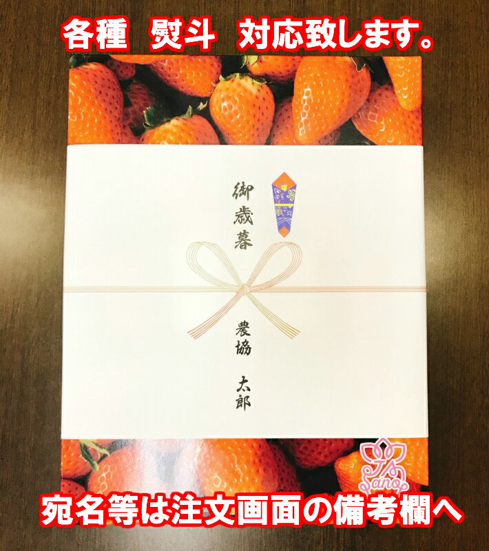 ★送料無料★化粧箱 高級イチゴ スカイベリー2パックセット バレンタイン ギフト お歳暮格安通販　バレンタイン　人気　ランキング