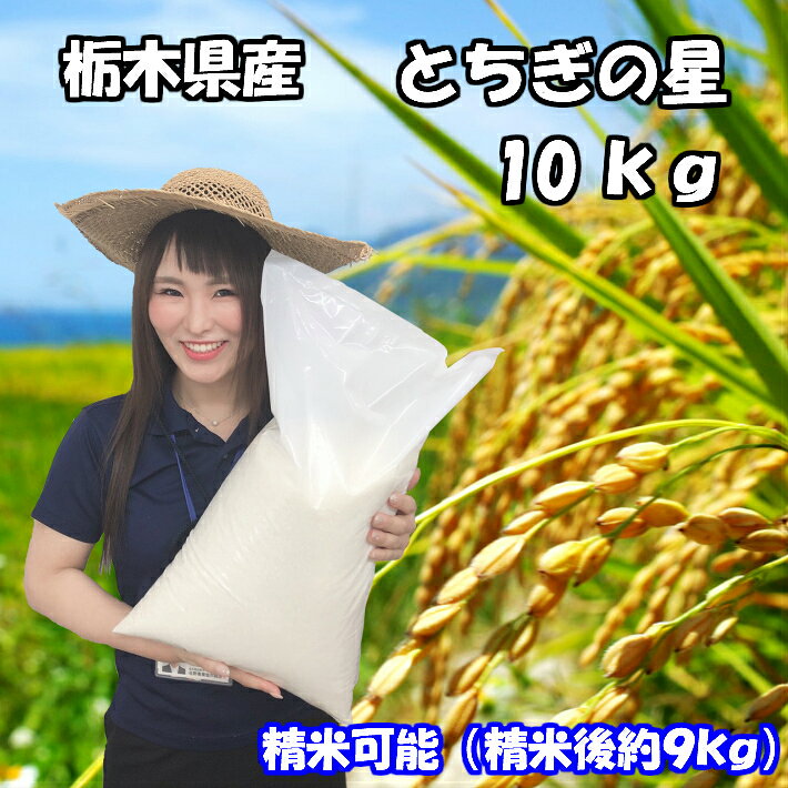 [商品価格に関しましては、リンクが作成された時点と現時点で情報が変更されている場合がございます。]