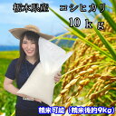 【一部地域送料無料】令和2年産新米 栃木県産 コシヒカリ 10kg（精米後約9kg）