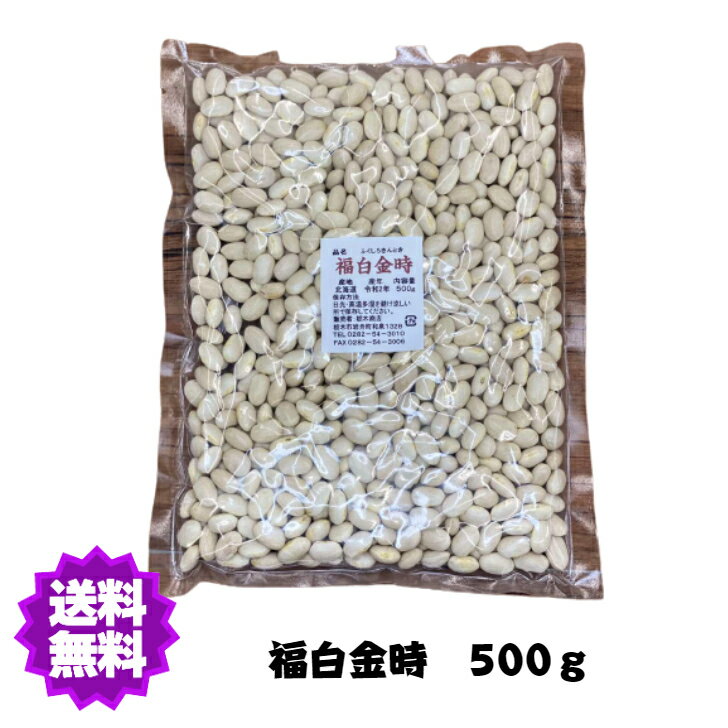 【送料無料】福白金時 500g R2年産 国産