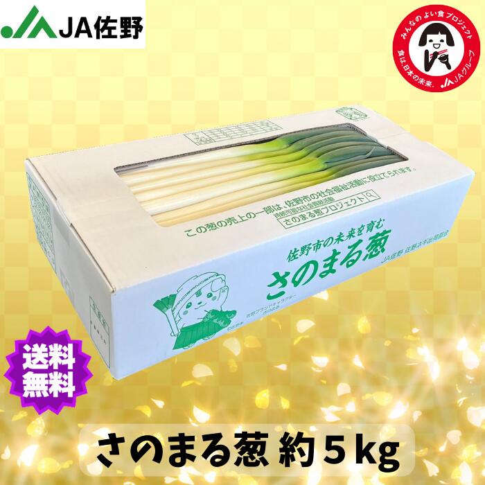 【注文多く品切れ中】送料無料 栃木県産長 ねぎ さのまる葱 2L L A規格 約5kg 佐野ネギ出荷部会 家庭用 業務用 白ネギ 社会貢献ネギ さのまる葱プロジェクト