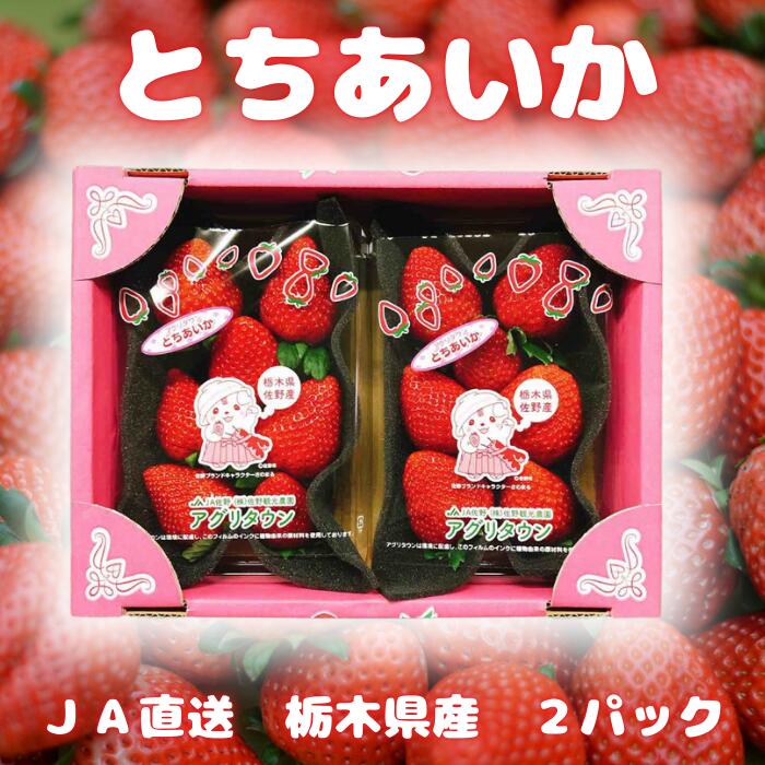お歳暮 いちご とちあいか 2パックセット 送料無料 栃木県産 さのまるオリジナル箱セット 冷蔵便　アグリあいか2Pのサムネイル