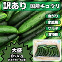 キュウリ 約45〜60本入 酒 のつまみに最高! 約5kg 曲がり 不揃い きゅうり 産地直送 新鮮 野菜 詰合せセット 漬物 夏野菜 訳あり 訳アリ 家庭用【...
