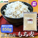 もち麦 850g 国産 雑穀 チャック付き 送料無料 食物繊維 国内調整 ごはん ダイシモチ【もち麦850g】