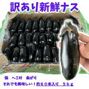 訳アリ 漬物用 加工用 約5kg ナス なす 茄子 JA佐野 約5kg 栃木県産 千両二号 家庭用