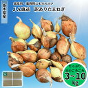 激安 送料無料 訳アリ フードロスにご協力願います 栃木県産 タマネギ 3kg 6kg 10kg 残留農薬未検出 大きさ色々 玉ねぎ お得 たまねぎ 家庭用