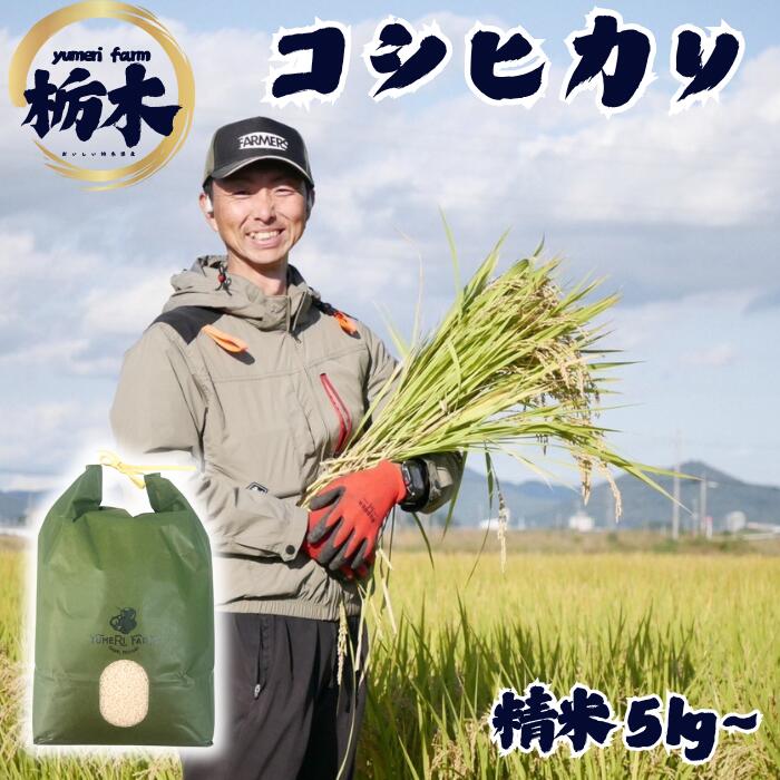JA佐野 令和7年産 新米 コシヒカリ 栃木県産 訳あり 米 こめ rice 精米 当日精米 5kg 5キロ YUMERIFARM 関口農園