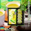 【2024新茶】上級茶＆抹茶ぷりんセット