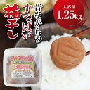 紀州南高梅 白梅干し 1.25kg 塩分約20％ 完全無添加 サイズ混合（ご家庭用）/ 梅 うめ ウメ 梅干 梅肉 無添加 大容量 保存食 抗酸化作用 疲労回復 血行促進 クエン酸 風邪予防 夏バテ対策