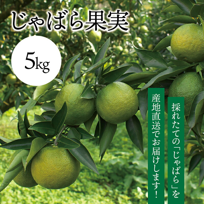 じゃばら果実 5kg (2025年度分) ( ジャバラ 邪払 JABARA 柑橘 フルーツ ) [ 北山村公式ショップ じゃば..
