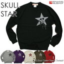 SKULL STAR/IWig[i[/lbgX^_[h^Cv/yclothzMILDCHOP