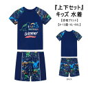 子供 水着 男の子 セットアップ ボーイズ 上下セット 恐竜 プリント 男子 4-12歳 半袖 クルーネック ショート丈 子供用水着 キッズ 水着 こども 男児 カッコイイ おしゃれ カジュアル みずぎ 小学校 小学生 保育園 幼稚園 温泉 ビーチ プール 海