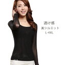 チュールTシャツ 透け感 レース レディース 長袖 カットソー トップス 無地 シンプル 美シルエット シルエット 春 秋物 秋新作