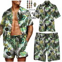 セットアップ メンズ 半袖シャツ ショートパンツ アロハシャツ 花柄シャツ 大きいサイズ 薄手 おしゃれ オーバーサイズ オシャレ カジュアル 夏 メンズファッ...