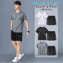 【送料無料】セットアップ メンズ おしゃれ 2点セット 上下セット 接触冷感 ゴルフ Tシャツ 半袖 半袖Tシャツ トップス ゴルフパンツ ショートパンツ ハー...