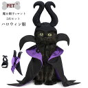 ハロウィン ペット服 マント 帽子 2点セット 犬 猫 コスチューム 脱着簡単 サイズ調整可能 ハロウィン飾り ペットケープ 小中型犬 猫用 コスチューム アク...