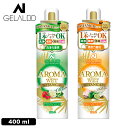 GELALDO AROMA WET BOTANICAL ジェラルド アロマウェット ボタニカル ウェットスーツ用 洗浄剤 洗濯 柔軟剤 香り オールインワン シ...