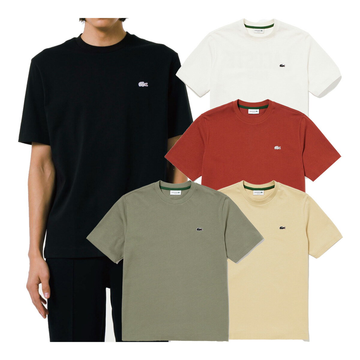 樂天商城 - ラコステ LACOSTE 半袖 Tシャツ バックプリントベーシックTシャツ メンズ TH4705-99 トップス タウンユース カジュアル スポーツ