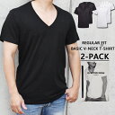 ジースター ロゥ 服 メンズ G-STAR RAW ジースターロウ 2枚組 Vネック Tシャツ 全2色 REGULAR FIT BASIC T-SHIRT 2-PACK D07203 レギュラーフィット ジースター tシャツ 半袖 インナー ジースターロウ Tシャツ 二枚組 アンダーシャツ