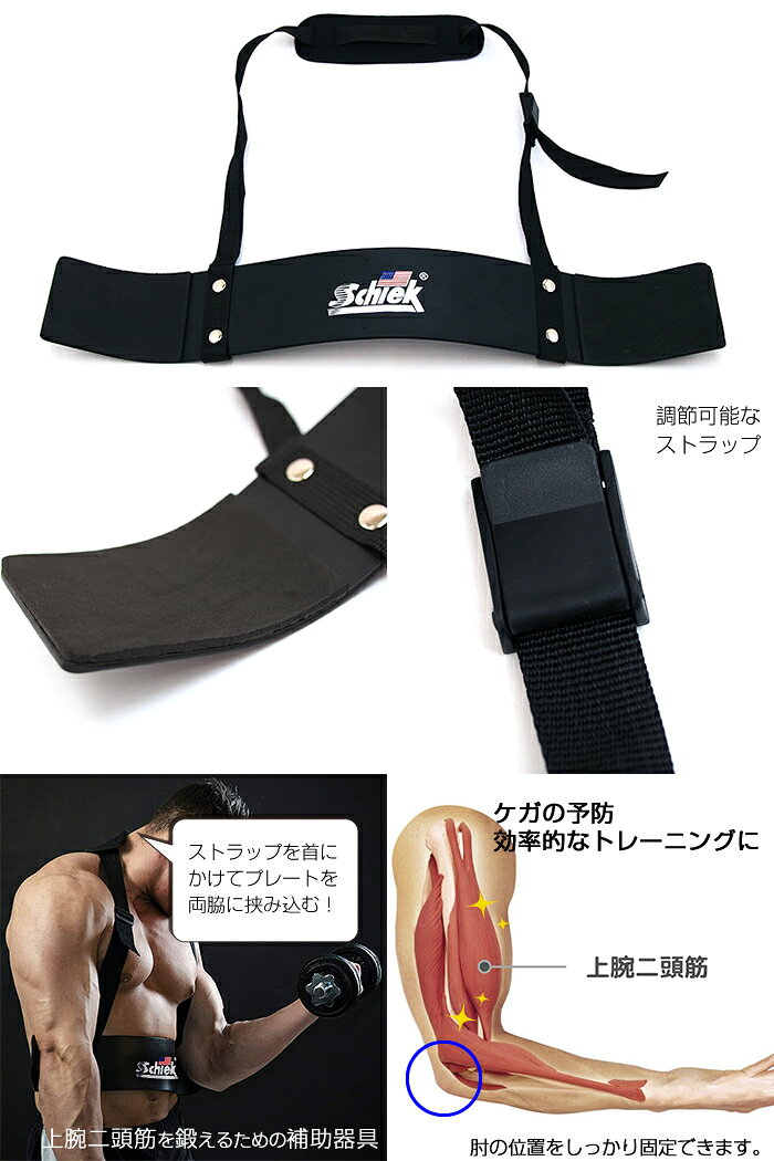 MEN’S JACKの【アウトレット】 Schiek シーク アームブラスター ARM BLASTER 上腕二頭筋 トレーニング アームカールプレート 筋トレ ウエイトトレーニング ジム ダンベルカール トレーニング器具｜アングル2