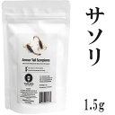 昆虫食 サソリ アーマーテイルスコーピオン 1.5g 塩味 