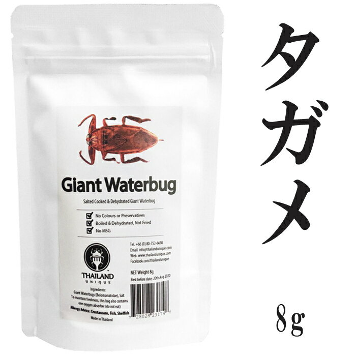 昆虫食 タガメ 8g 塩味 閲覧注意 高蛋白で低糖質 たがめ 昆虫 食用 入門 Giant Waterbugs パーティーグッズ 罰ゲーム 宴会