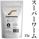 昆虫食 スーパーワーム 15g 塩味 閲覧注意 高蛋白で低糖質 昆虫 食用 入門 Superworms パーティーグッズ 罰ゲーム 宴会