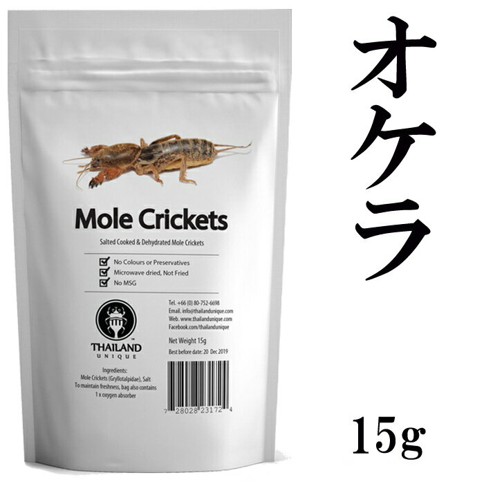 昆虫食 オケラ 15g 塩味 閲覧注意 高蛋白で低糖質 おけら 螻蛄 昆虫 食用 入門 MoleCrickets パーティーグッズ 罰ゲーム 宴会