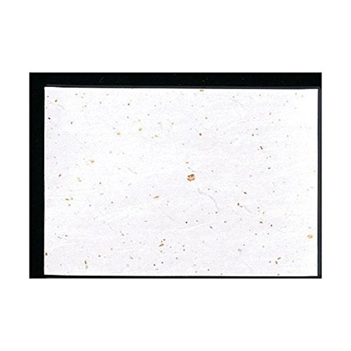 アーテック シルバー クラフト ランチョンマット 100枚入 39 x 26.4 cm