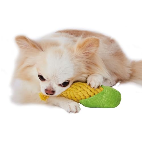 �ڥƥ��� (Petio) ���Ѥ������ �Ԥ�Ǥ�CORN�ǥ󥿥� S