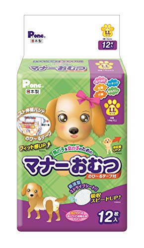 P.one �ޥʡ�����ĤΤ�~��ơ����դ� LL 12P