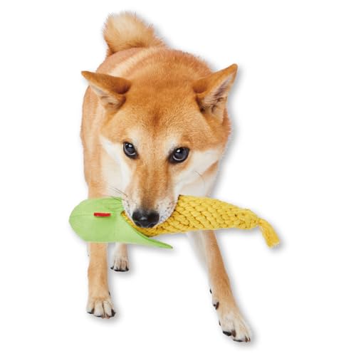 �ڥƥ��� (Petio) ���Ѥ������ �Ԥ�Ǥ�CORN�ǥ󥿥� M