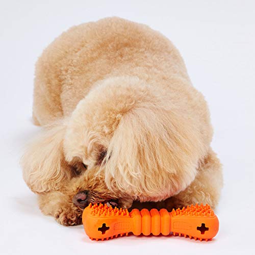 �ڥƥ��� (Petio)���Ѥ������TREATS LOVER �ܡ��� S